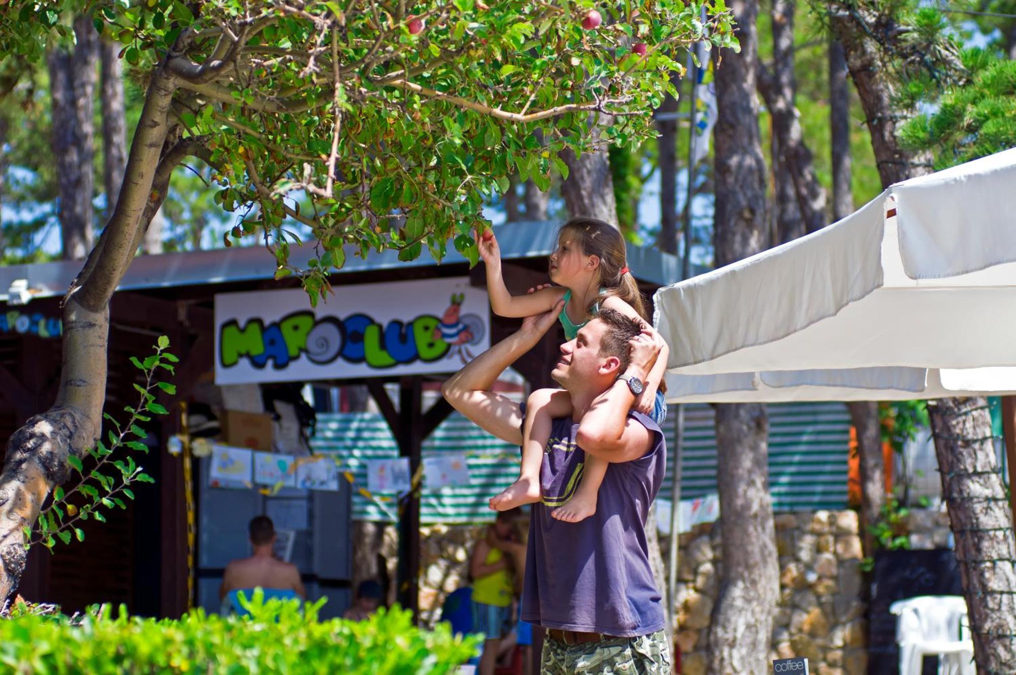 Valamar Camping Jezevac Veglia Exterior foto